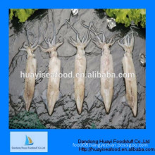 international market price of frozen raw squid